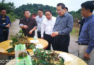 四川省農(nóng)業(yè)廳調(diào)研市農(nóng)科院科研示范基地